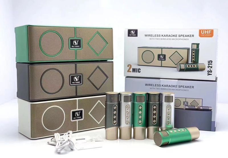 Nuovo altoparlante Bluetooth wireless YS215 con doppio microfono tutto in uno KTV casa karaoke all'aperto_voghion.com