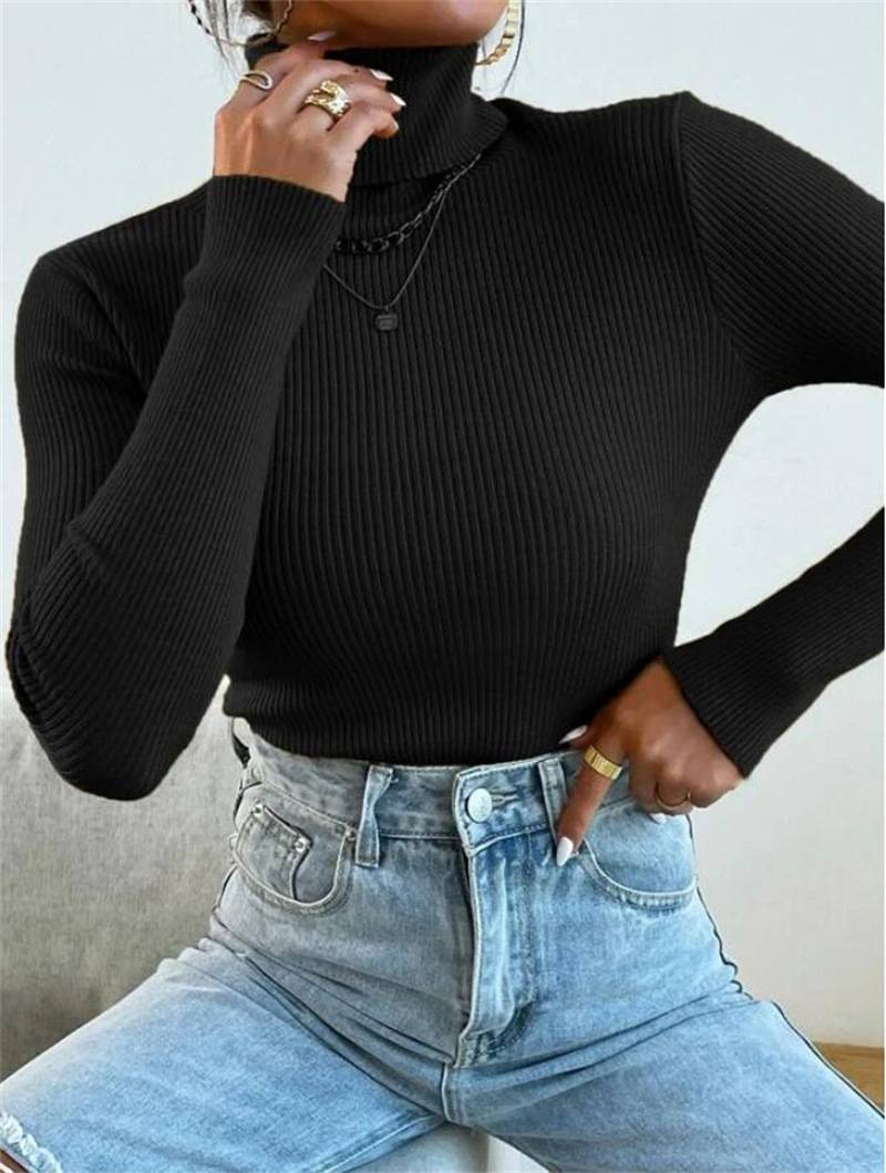 2024 Autumn Winter Women Long Sleeve Knitted Foldover Turtleneck Ribbed Pull Sweater Soft Warm Femme Jumper Pullover Clothes_voghion.com