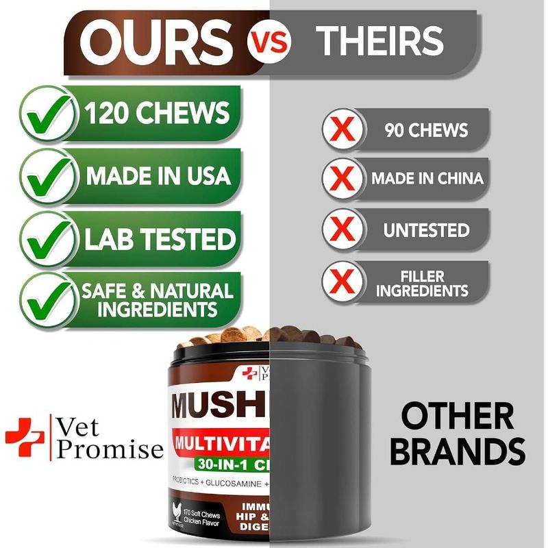 Dogs Chews Supplement Mushroom Dogs Mane For For Mushroom 170 Support Lions Tail Mushroom Turkey For Reishi Multi Immunity Dogs_voghion.com