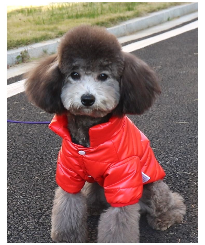 Einweg-Baumwoll-gepolsterte Kleidung Katze Herbst und Winter Hundekleidung Winterkleidung kleine Hunde Haustier Baumwolle gefütterte Jacke neue Baumwolle gefütterte Kleidung Winter_voghion.com