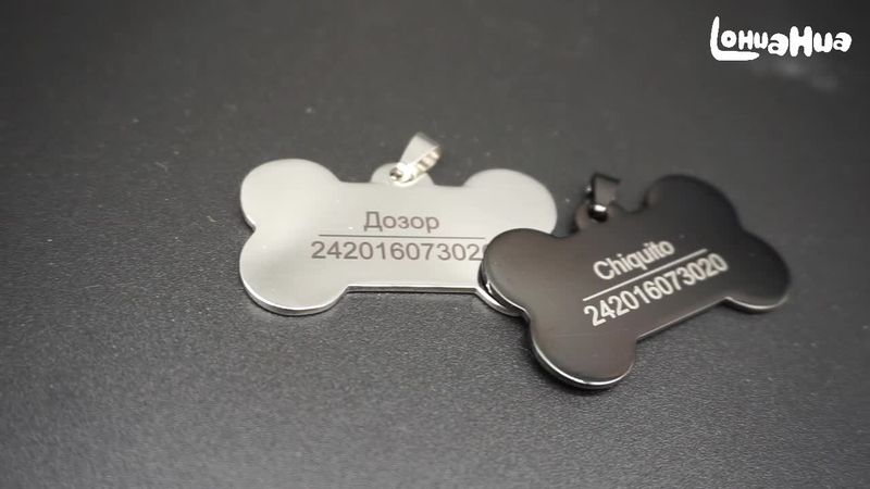 Metal Name Tags For Dogs LOHUAHUA By PawParty Store_voghion.com