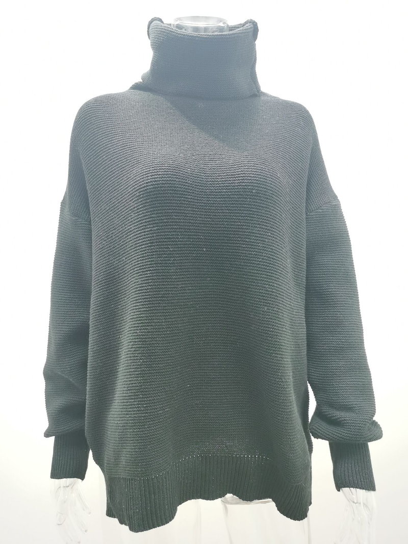 Women's Clothing Autumn and Winter New Thick e Long-sleeved Turtleneck Pullover Sweater_voghion.com