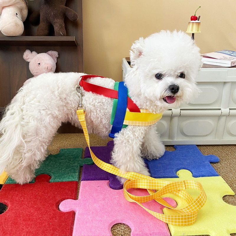 Zestaw szelek dla psów rasy Corgi Shiba Inu, smycz przeciwwybuchowa dla małych i średnich psów_voghion.com