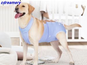Set chirurgico per cani, set per il recupero degli animali domestici, set chirurgico per la sterilizzazione dei cani, stile bendaggio, abbigliamento postoperatorio semplice_voghion.com