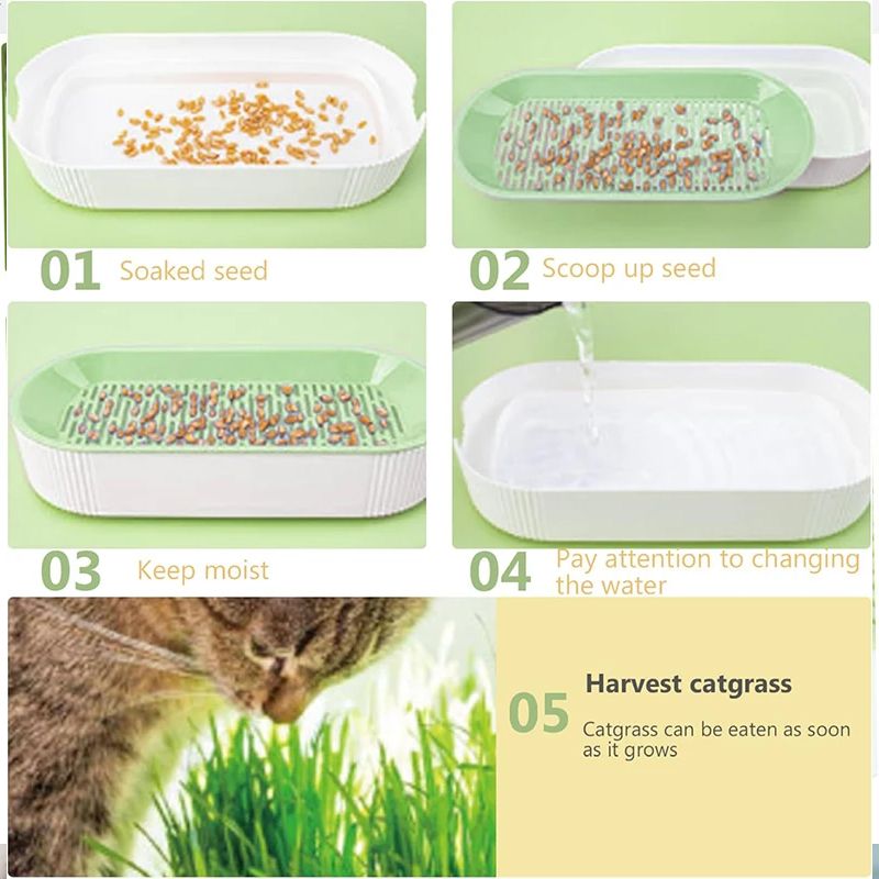 Hydroponische kattengrasbox Kattenlekkernijen Kattenkruid Hydroponische bodemloze planten Kattengras Potset voor eenvoudige groei_voghion.com