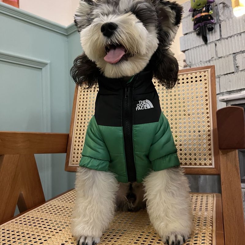 Giacca per cani, calda, per animali domestici di piccola e media taglia, bulldog francese, spesso cappotto ricamato_voghion.com