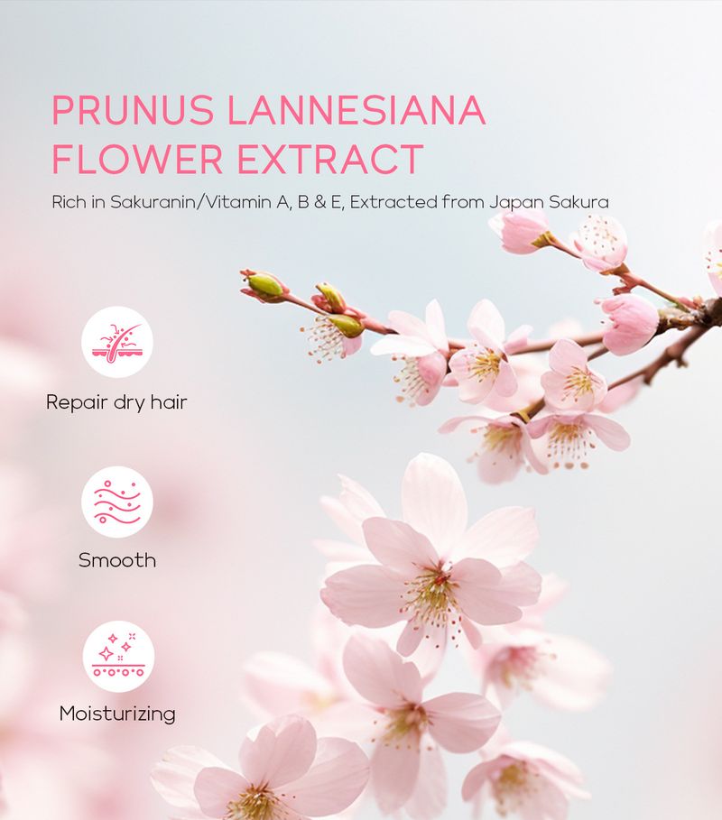 LAIKOU Sakura Conditioner 100ml Mëll Hoer Feuchtigkeitsspëtzen_voghion.com