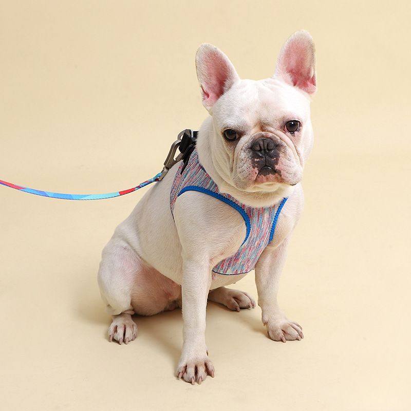Nova coleira de poliéster para animais de estimação, treinamento para cães pequenos_voghion.com