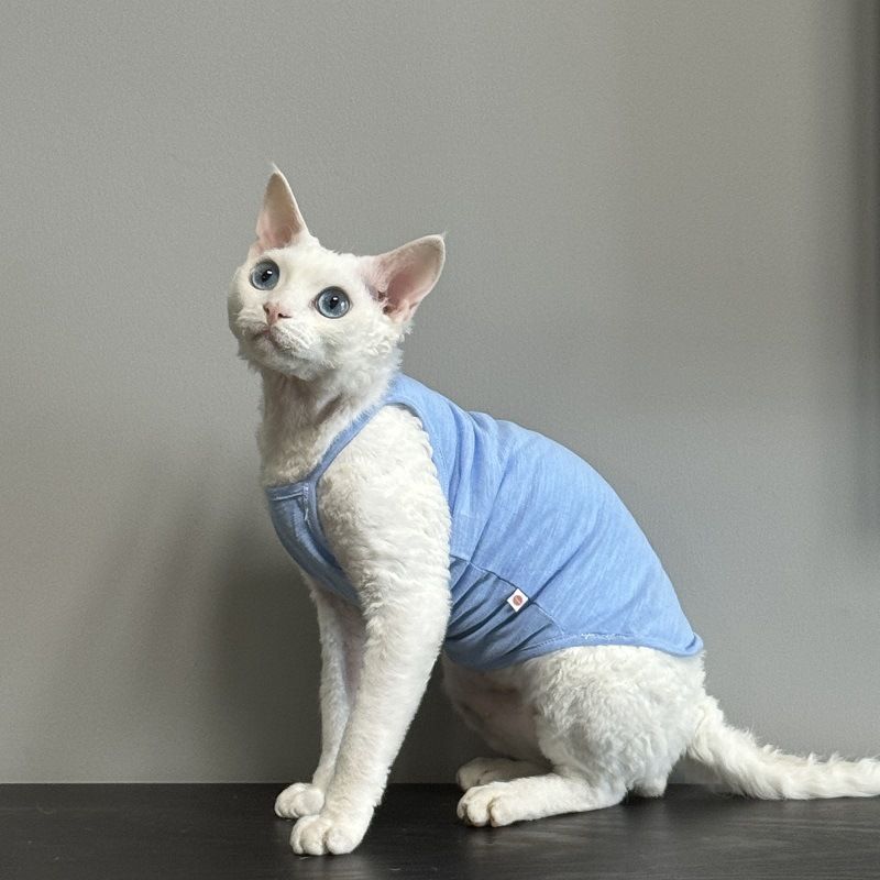 Tuta per gatti Devon Rex Sphynx, estiva, senza peli, multicolore, traspirante, sottile, in cotone di bambù, senza cuciture, con aria condizionata_voghion.com