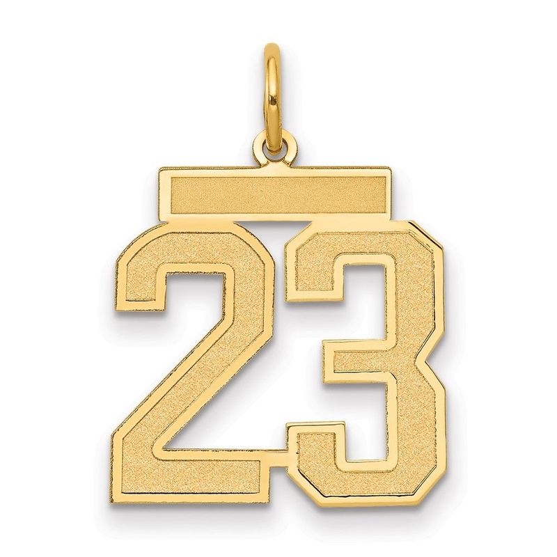 14k Medium Satin Number 23 Charm_voghion.com