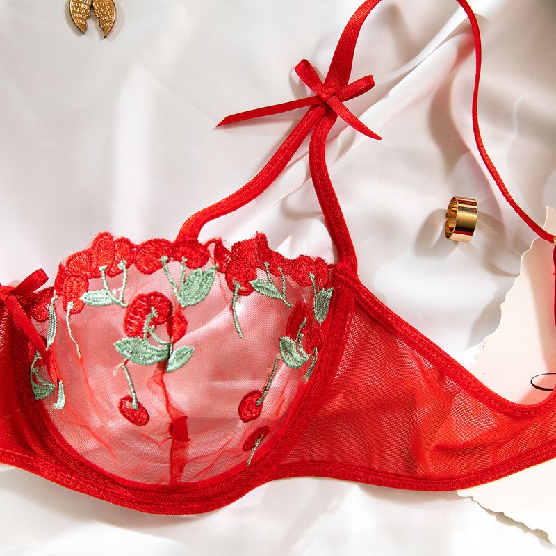 Completo reggiseno in rete trasparente ricamato in stile francese con dettagli a fiocco - Lingerie 2 pezzi_voghion.com