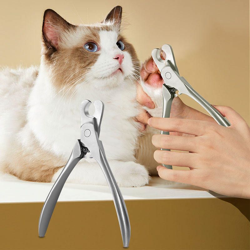 Tagliaunghie in acciaio inossidabile per cani e gatti di PawParty Store_voghion.com