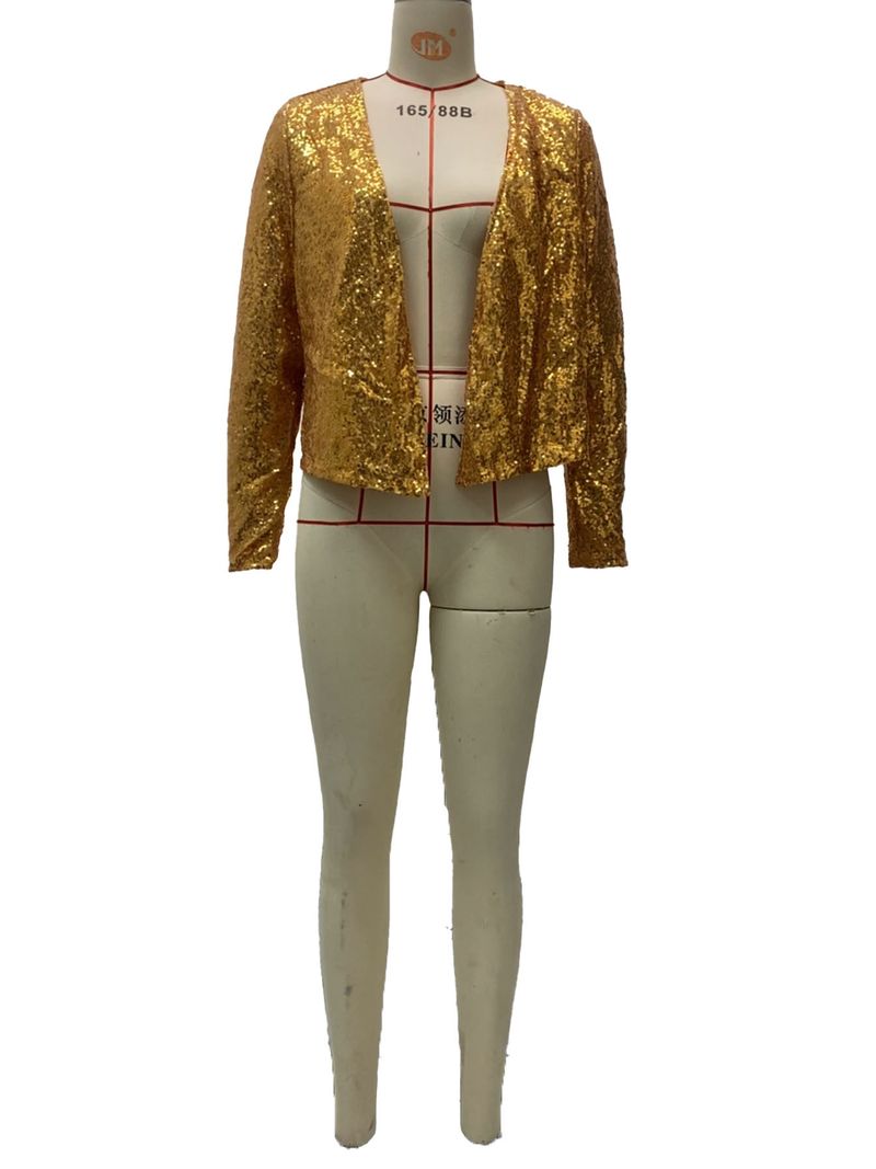 2024 Spring New Women's Fashion Stand up Collar Colored Sequin Short Casual Versatile Small Coat_voghion.com