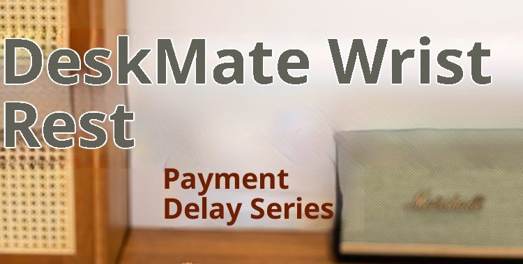 NeoGear Clearance Desk Companion Plüschtier-Serie Kreative Handgelenkauflage Neu Original Palm Treasure_voghion.com