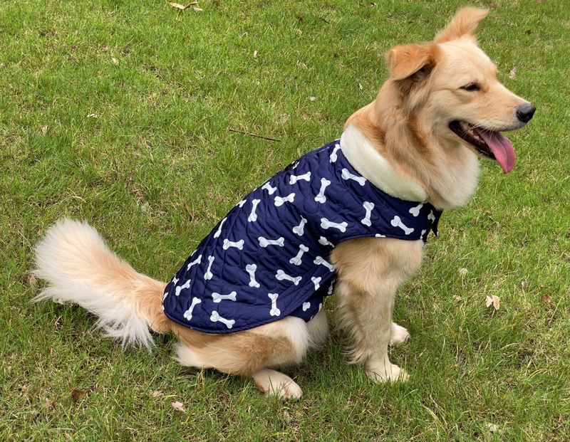 Pocket new pet clothes autumn and winter dog clothes vest cotton coat double sided wearable dog clothes coat clothing_voghion.com