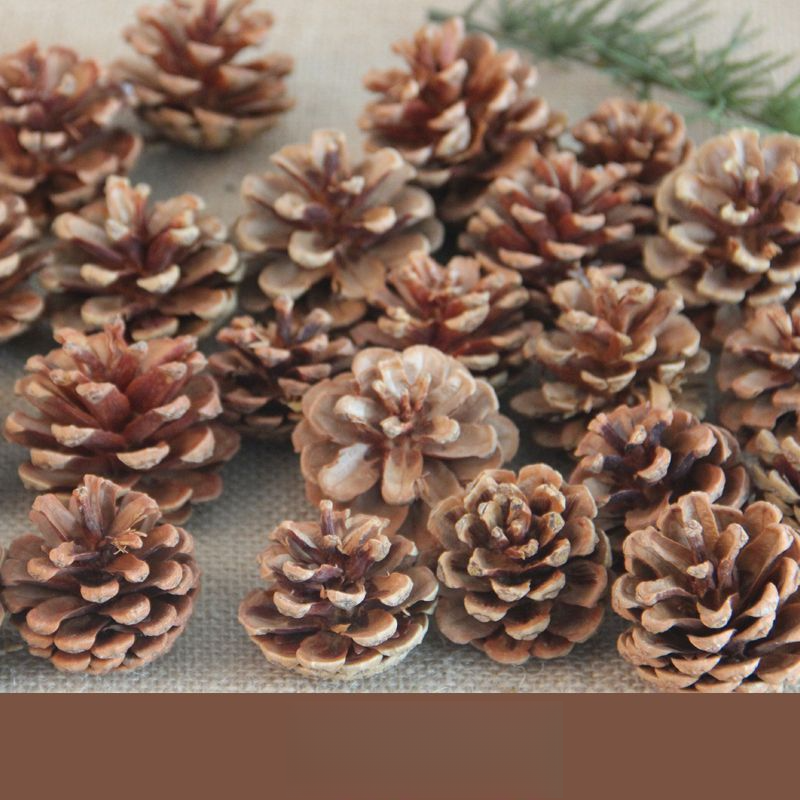 Decoration Pine Cone Acorn Flower Handmade DIY Forest Kindergarten Environmental Creation Dried Branches Wild Creative_voghion.com