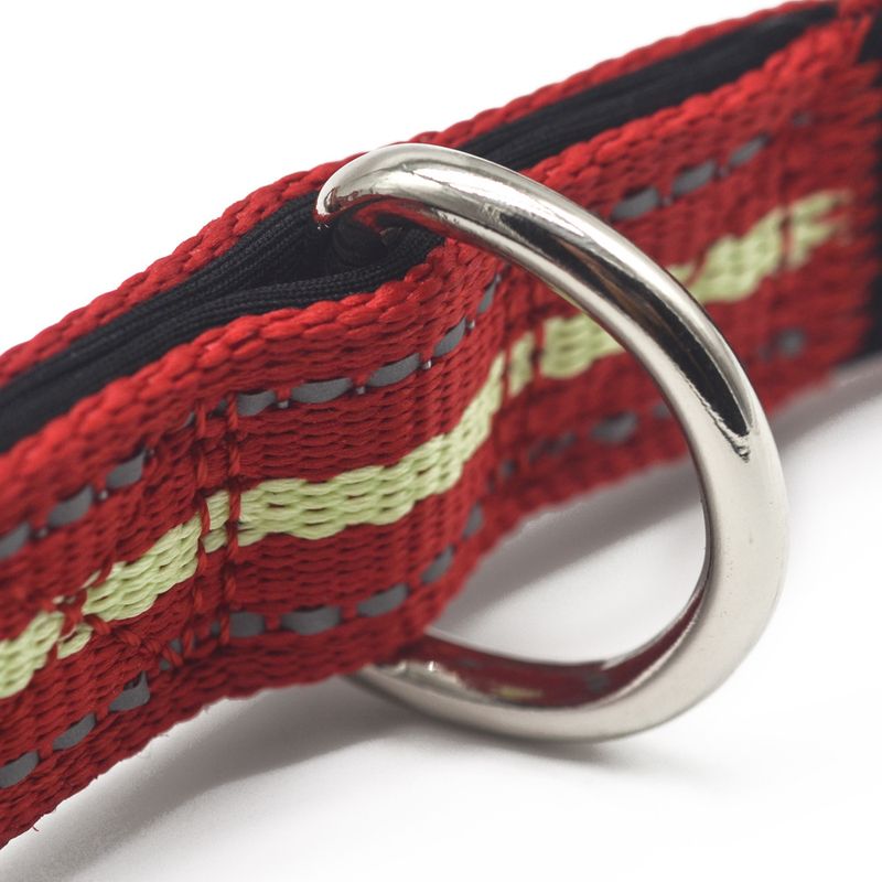 Pet Luminous Multi-Functional Leash Outdoor Sports Anti-Lost Small Dog_voghion.com