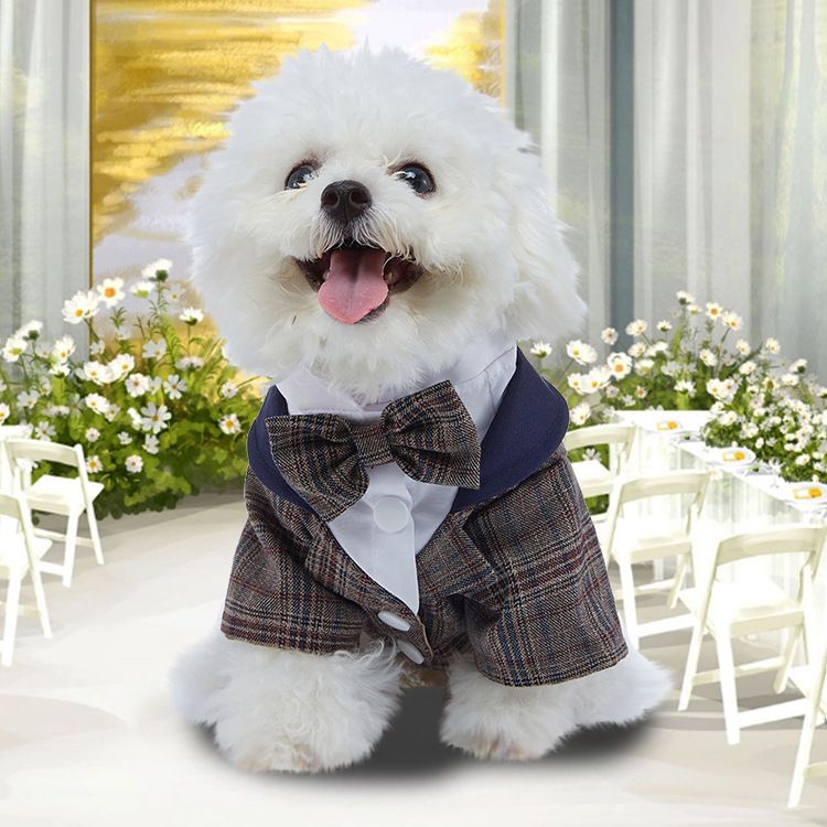 Dog Thin Cute Suit Tuxedo Pet Yorkshire Terrier Corgi Puppy Summer Clothes_voghion.com