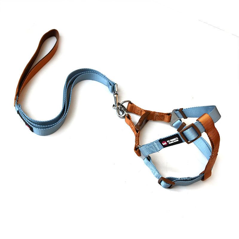Set di collare e guinzaglio per cani in nylon con imbracatura per il petto, stile Pet Color Block_voghion.com