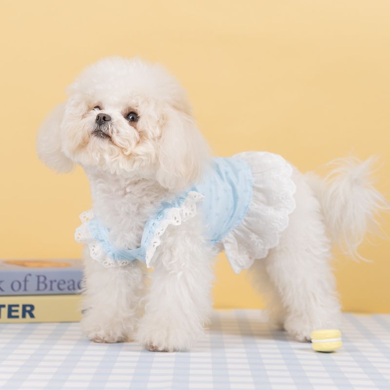 Blauer, vollständig bedruckter Rand, dünner Hosenträgerrock mit Blumenmuster für Welpen im Frühling und Sommer im Vergleich zur Hundekleidung mit Teddybär_voghion.com