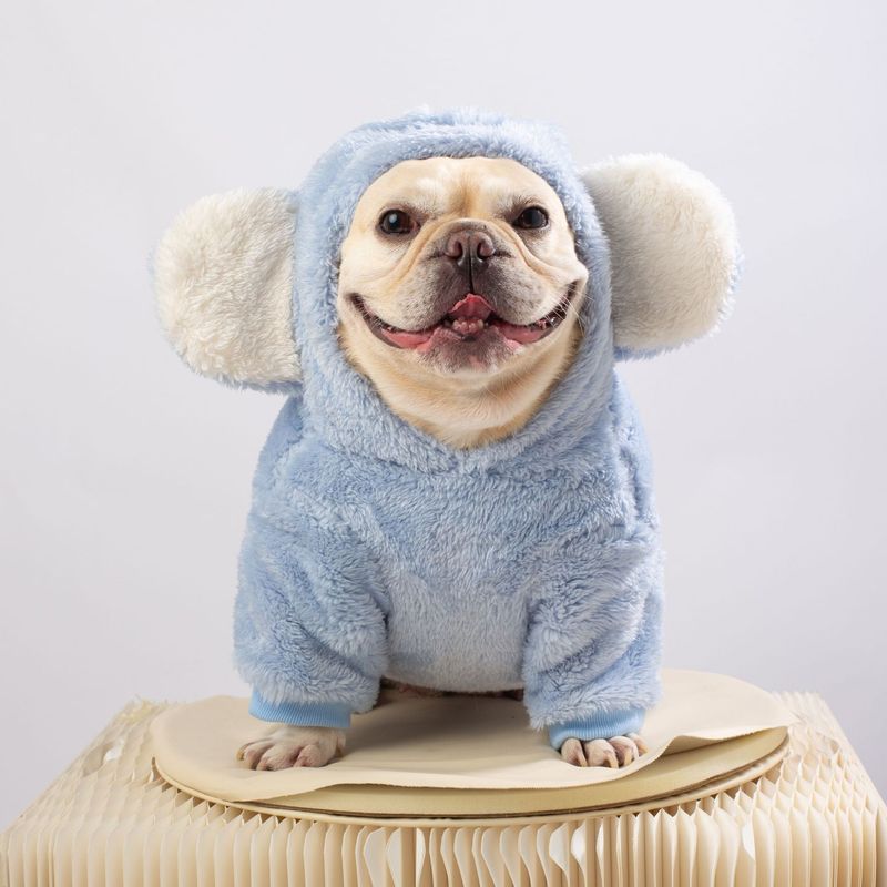 New Pet Clothes Autumn Winter Outfit Plush Sweatshirt French Bulldog Pug Bichon Thickened Warm Small Dog Apparel_voghion.com