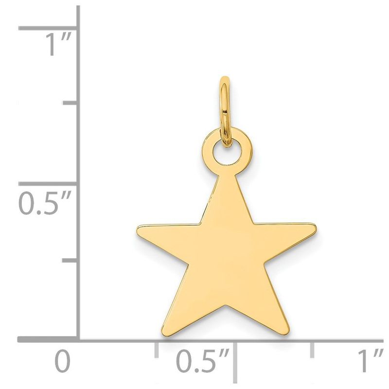 14K Star Disc Charm_voghion.com