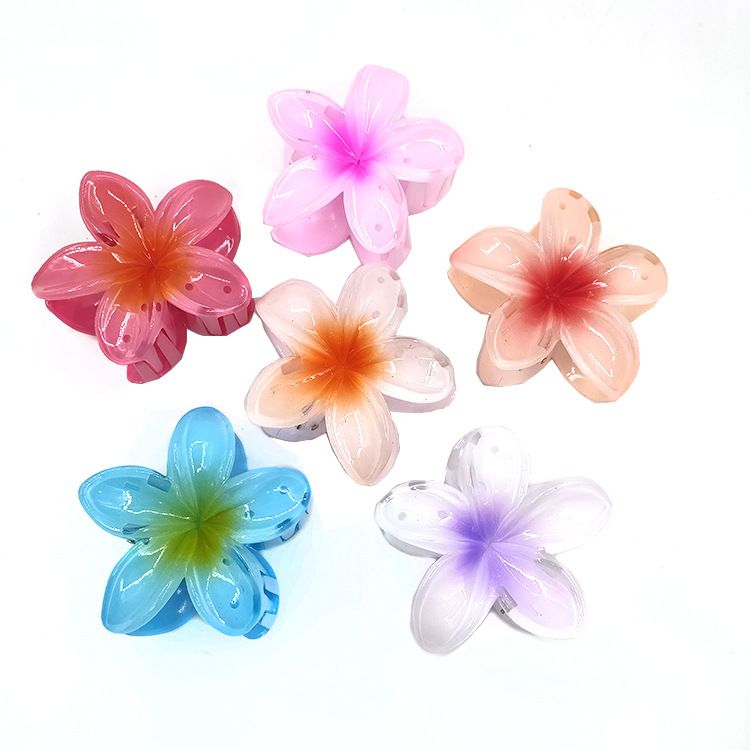 Egg Flower Grab Clip Gradient Květinové bonbóny bauhinia zpět Hair Shark klip do vlasů_voghion.com