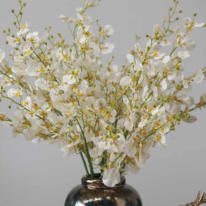 Phalaenopsis soggiorno da terra arte floreale oncidium composizione floreale decorazione domestica_voghion.com