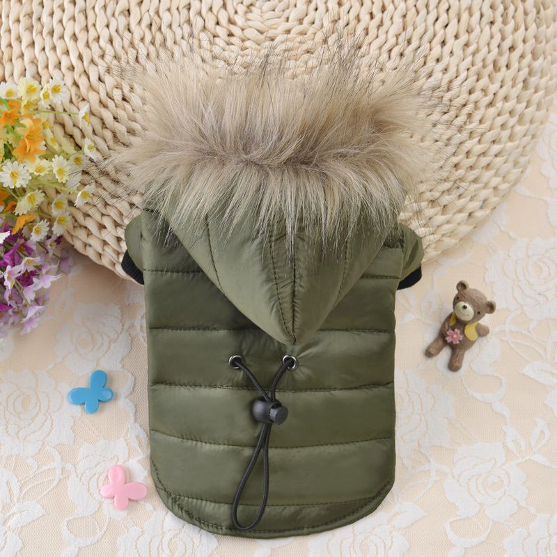 Huisdierkleding Herfst Bichon Warme Katoenen Jas Kleine Pomeriaan Teddy Hondenkleding Winteroutfit_voghion.com