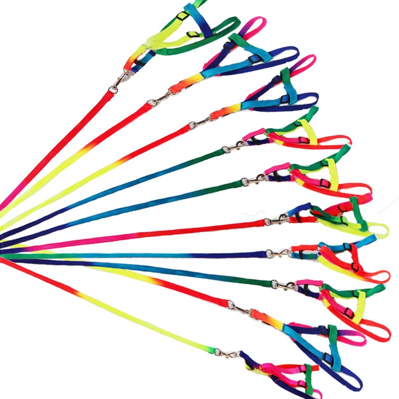 Pet Colorful Chest Harness Small Leash Dog Chain_voghion.com