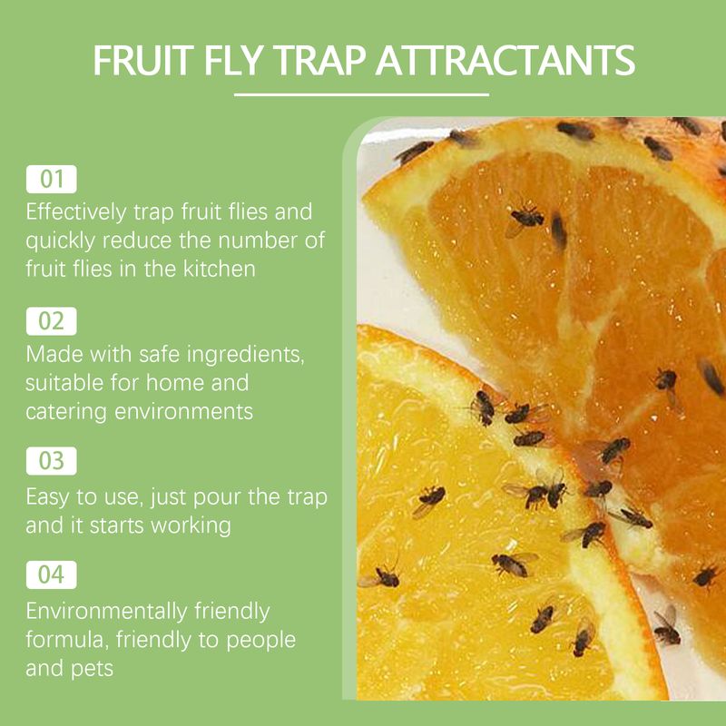 Yegbong Fruit Fly Trap Supplement Set, Fruit Fly Lure Water Physical Trap Fruit Fly Trap Agent_voghion.com
