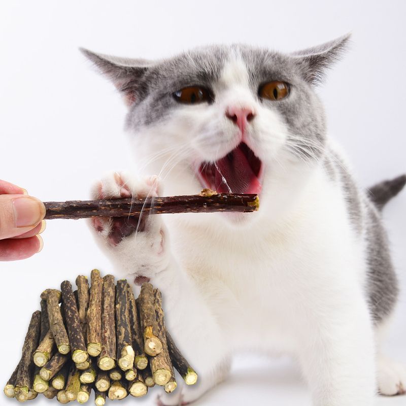 20 pezzi di erba gatta, giocattoli per gatti, per digrignare i denti, per masticare e rimuovere le palle di pelo, bastoncini di poligono Muttian_voghion.com
