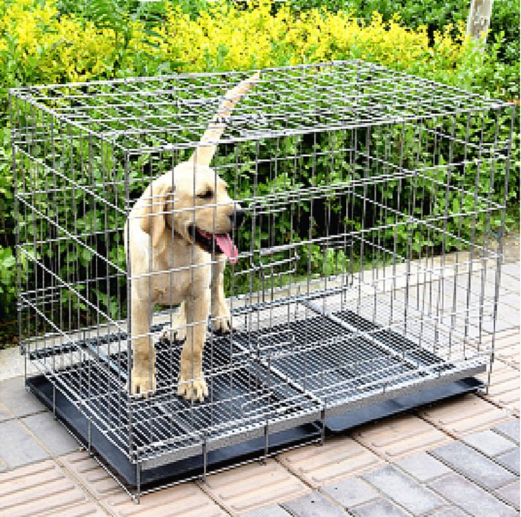 Gabbia pieghevole portatile per cani, gatti, polli e conigli in acciaio ad angolo_voghion.com