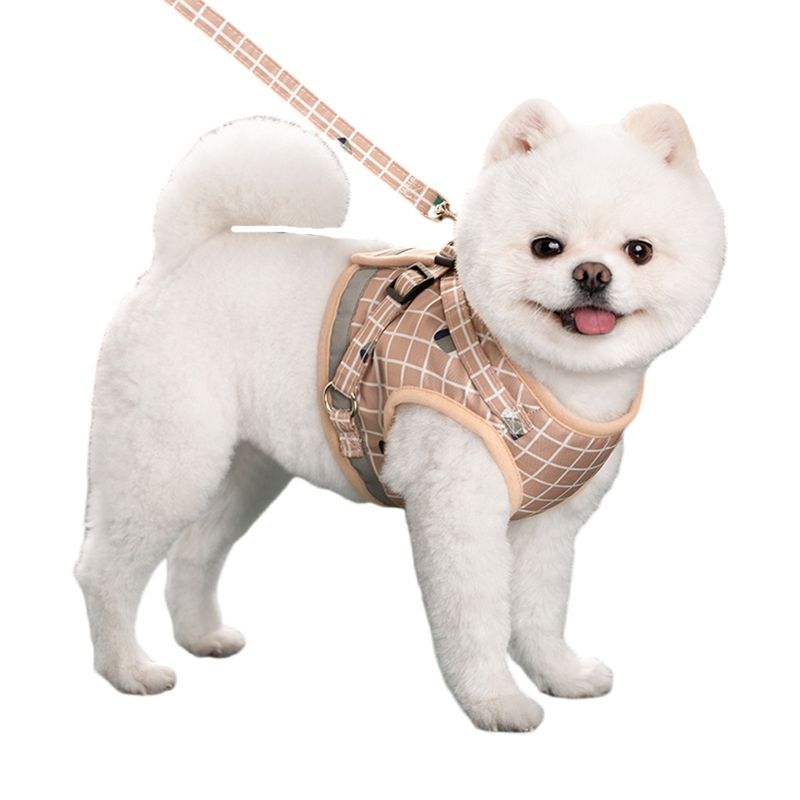 Reflektierendes, atmungsaktives Netzgeschirr für kleine Hunde mit Leine, Mops, Chihuahua, französische Bulldogge, Hundegeschirr, Welpe und Katze von PawParty Store_voghion.com
