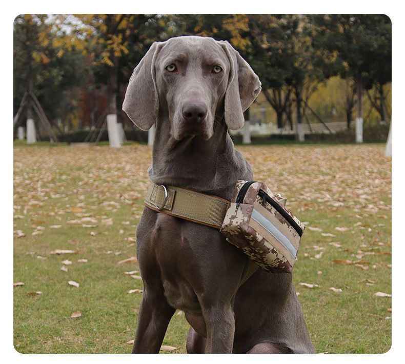 Dog For Medium And Large Dogs Training Bag Outdoor Portable Magic Tape Tactical Small Backpack_voghion.com