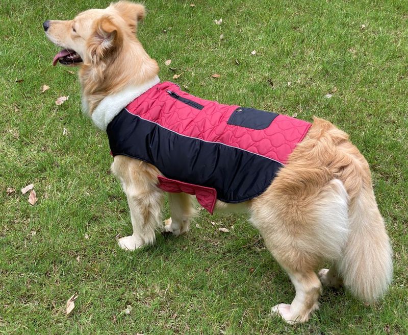 Pocket new pet clothes autumn and winter dog clothes vest cotton coat double sided wearable dog clothes coat clothing_voghion.com