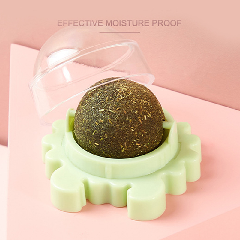 3 Pcs/Set For Cat Catnip Toys With Lid Interactive Toy Teeth Cleaning Mint Ball_voghion.com