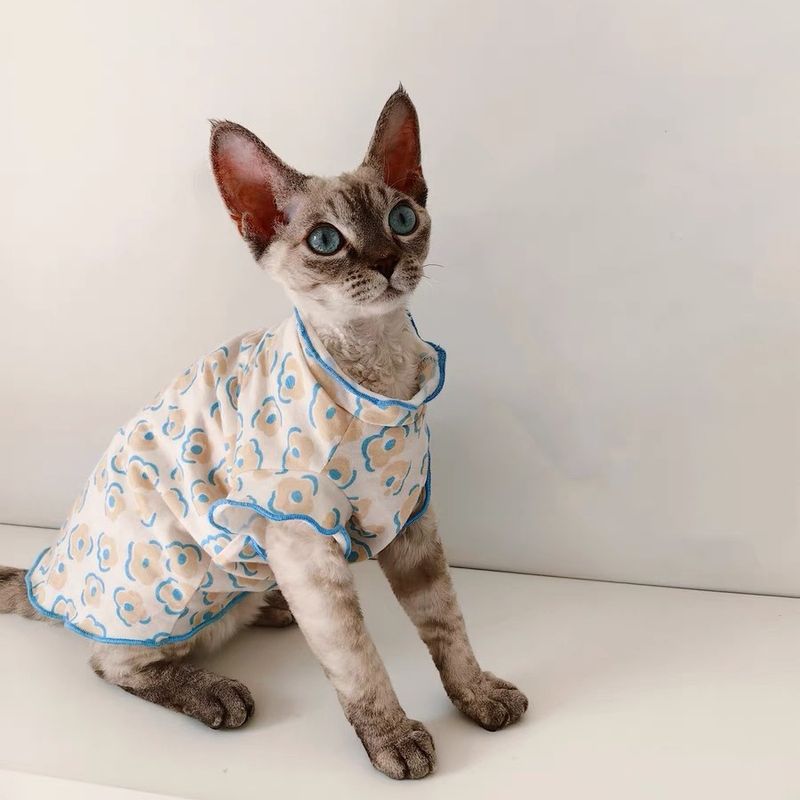 Hot Sale Summer Japanese And Korean INS Hairless Cat German Ragdoll Same Style Pet Clothes_voghion.com