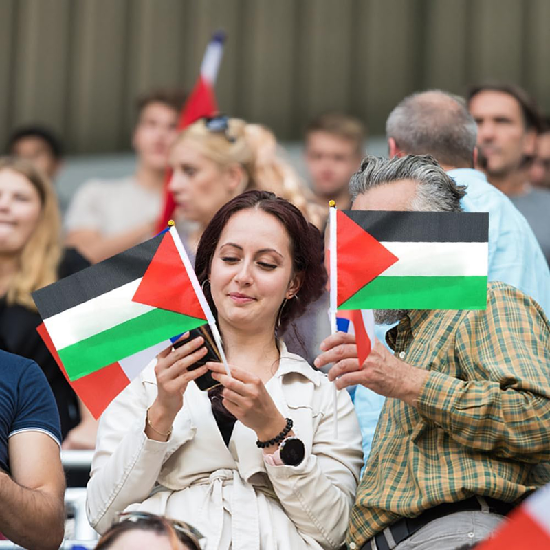 SportLife 10/20/50/100Pcs Palestine Mini Flags with Pole Hand Held Small Palestine Stick Flags Miniature Hand Waving Flags_voghion.com