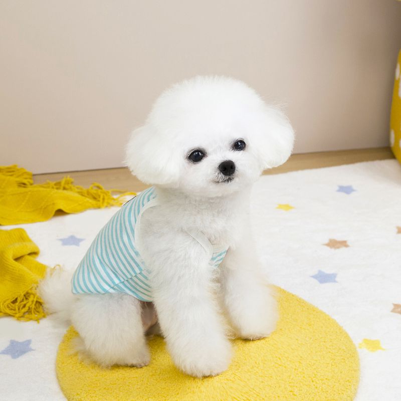 Abbigliamento per gatti, vestiti per cani, vestito per animali domestici, 25 strisce trasparenti, cinturino H_voghion.com
