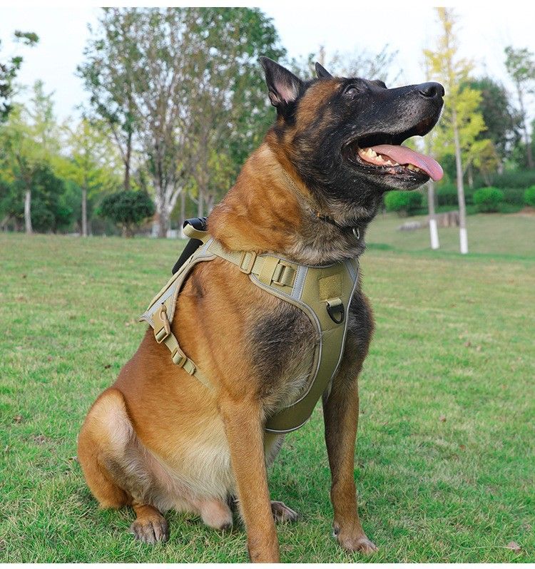 Pet 2024 per cani di taglia media e grande, imbracatura tattica in stile gilet, guinzaglio per passeggiate con il cane_voghion.com