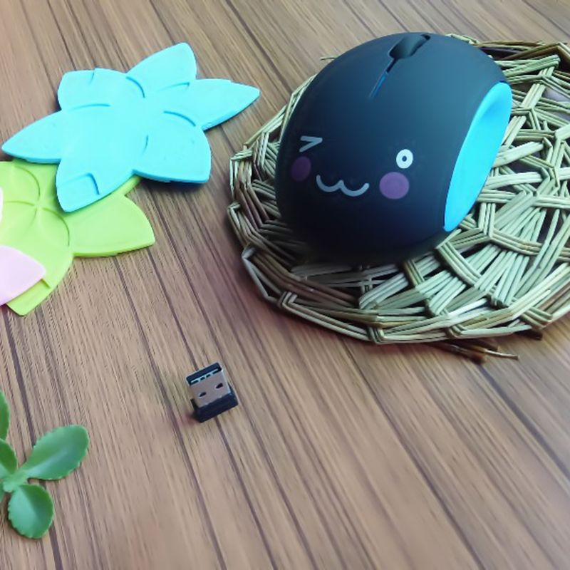 Xinweiqing 1200DPI 3 Buttons USB 2.0 Rechargeable Cute Pattern Wireless Mouse for Computer_voghion.com