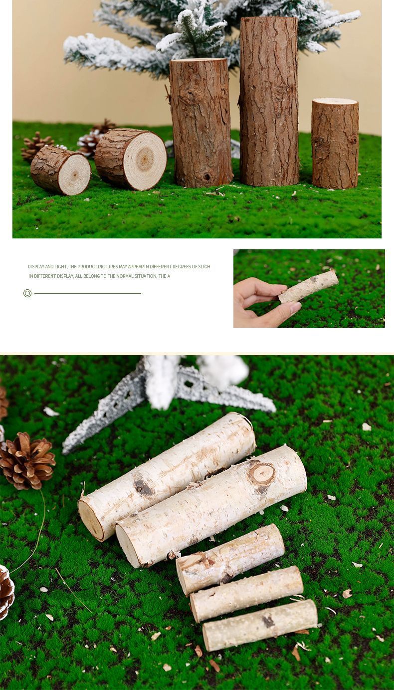 Tronc Segment naturel Souche d'arbre décorative solide Aménagement paysager Bouleau blanc Bois Pile Clôture Barrière Bûche Branche sèche_voghion.com