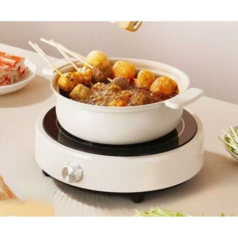 Induction Cooker 110V Small Home Appliance 110 Volt US Canada Taiwan UK Standard High Power_voghion.com