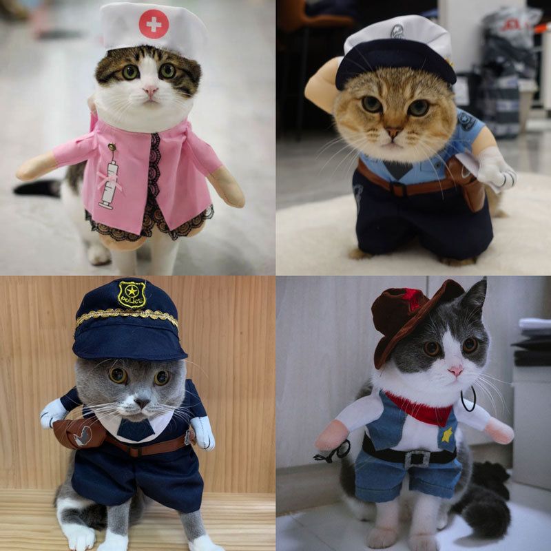 Spring And Autumn Pet Clothing Cute Funny Quirky Costume Hilarious Cat Dog Clothes Standing Transformation Outfit 3D_voghion.com
