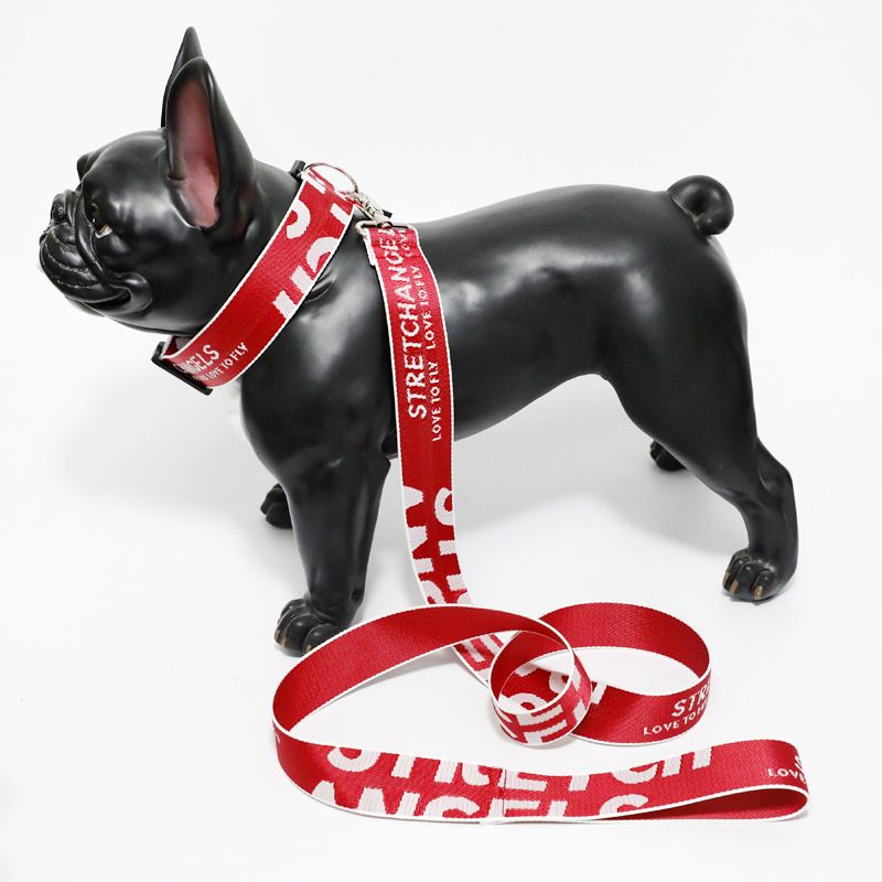 Kaji Trendy Brand For Medium Dogs Teddy French Bulldog Pug Pet Dog Collar Walking Leash_voghion.com