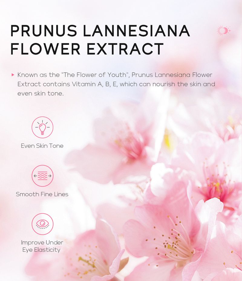 LAIKOU Sakura Dag an Nuecht Aencrème 20g Hydratiséierend Feuchtigkeitsspendend Aenhaut_voghion.com