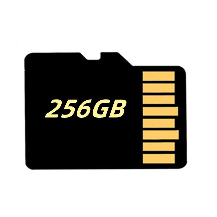 Multi-System Compatible for Action Cameras and HD Video Cameras - High-Speed Memory Card 32GB/64GB/128GB/256GB_voghion.com