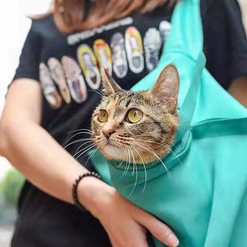 Borsa a tracolla per animali domestici traspirante di grande capacità e comoda tracolla per gatti da viaggio all'ingrosso_voghion.com