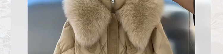 Fashionable Large Fur Collar Stand Up Collar, Waist Up, Slimming Down, Down For Women's 2023 Winter Wear, New Diamond_voghion.com